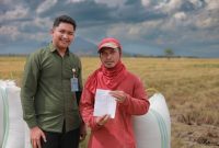 Bulog saat serapgabah rakyat. (dok. bulog)