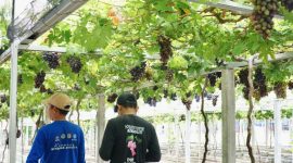 Kampung Reforma Agraria Duyu Bangkit di Kelurahan Duyu, Kota Palu. (dok. rentak.id)