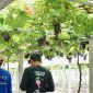 Kampung Reforma Agraria Duyu Bangkit di Kelurahan Duyu, Kota Palu. (dok. rentak.id)