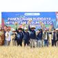 Panen padi varietas Inpari 32 di Karawang. (dok. bulog)