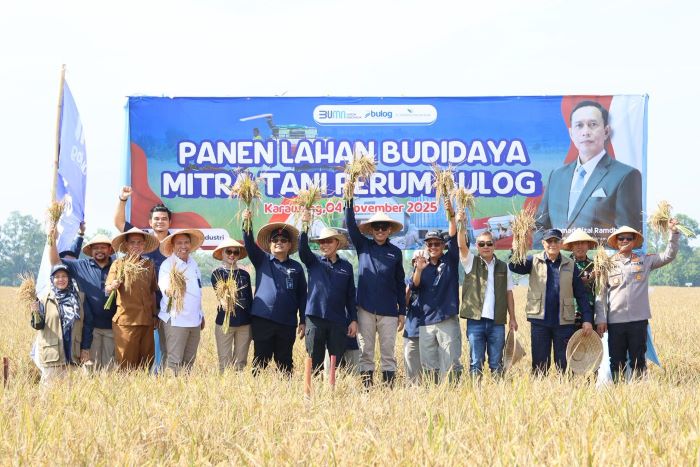 Panen padi varietas Inpari 32 di Karawang. (dok. bulog)