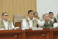 Ahmad Rizal Ramdhani saat RDP dengan Komiosi VI DPR (dok. rentak.id)