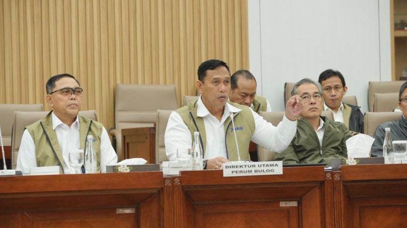 Ahmad Rizal Ramdhani saat RDP dengan Komiosi VI DPR (dok. rentak.id)