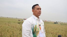 Direktur Utama Perum BULOG, Letjen TNI (Purn) Ahmad Rizal Ramdhani S.Sos., S.H., M.Han (dok. rentak.id)