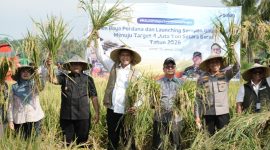 Direktur Utama Perum BULOG, Letjen TNI (Purn) Ahmad Rizal Ramdhani hadir saat panen raya di NTB. (dok. rentak.id)