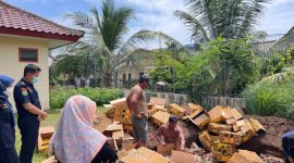 Sebanyak 796,09 kilogram kulit hiu dan pari kering dimusnahkan KKP di halaman Kantor Satuan Pengawasan (Satwas) SDKP Banyuwangi (dok. kkp)