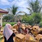 Sebanyak 796,09 kilogram kulit hiu dan pari kering dimusnahkan KKP di halaman Kantor Satuan Pengawasan (Satwas) SDKP Banyuwangi (dok. kkp)