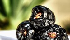 Buah Kurma yang lezat (foto. ist)