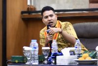 Ketua Umum DPN PERMAHI, Chaerul Anwar. (dok. rentak.id)