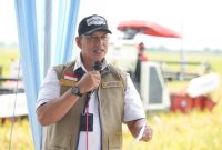 Direktur Utama Perum BULOG Dr. Ahmad Rizal Ramdhani saat panen di swah (foto.bulog)