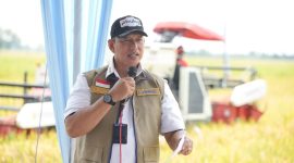 Direktur Utama Perum BULOG Dr. Ahmad Rizal Ramdhani saat panen di swah (foto.bulog)