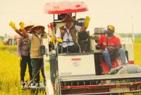 Dirut Bulog Ahmad Rizal Ramdhani dalam Panen Raya di Ngawi, Jawa Timur. (dok. bulog)