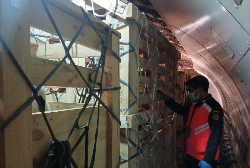 Ternak asal Australia tiba di Indonesia (dok. baratin)