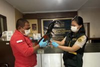 WFH Namun Barantin tetap sigap (dok. barantin)