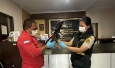 WFH Diterapkan, Barantin Tetap Tancap Gas: Ribuan Sertifikat Karantina Terbit Tanpa Hambatan