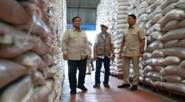 Wamentan Sudaryono mendampingi Presiden Prabowo Subianto melakukan sidak ke Kompleks Gudang Perum Bulog Danurejo, Kabupaten Magelang.(dok.bulog)