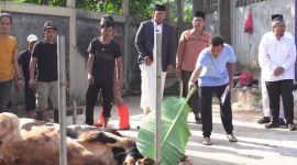 Direktur Utama Perum BULOG Ahmad Rizal Ramdhani menyaksikan penyembelihan hewan Qurban (dok. bulog)