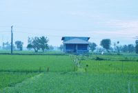 Ilustrasi menjaga batas tanah (foto. ist)