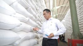 Mentan Andi Amran Sulaiman (dok. rentak.id)