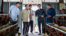 Riyono Caping saat di kandang ayam (dok. rentak.id)