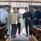 Riyono Caping saat di kandang ayam (dok. rentak.id)