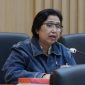Anggota Komisi IX DPR RI, Irma Suryani Chaniag (dok. rentak.id)