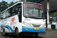 Angkutan perintis (foto. ig damri)