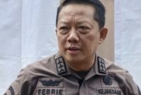 Febrie Adriansyah. (X)