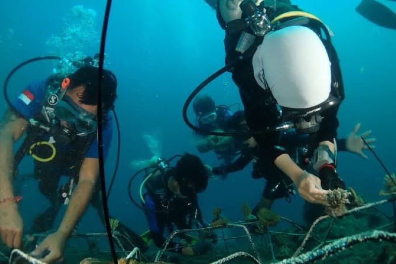 Ilustrasi Penyelamatan Terumbu Karang (foto. dinas kelautan dan perikanan bali)