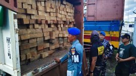 TNI AL gagalkan illegal logging yang akan dikirim menuju Pulau Jawa (dok. dispenal)