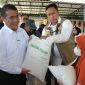 Dirut Perum BULOG Ahmad Rizal Ramdhani dan Kepala Bapanas Andi Amran Sulaiman saat bagikan beras. (foto. bulog)