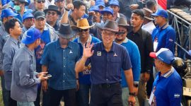AHY saat buka lomba katapan sapi (foto. demokrat)