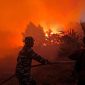 Prajurit TNI AL saat padamkan api yang berkobar (dok. dispenal)