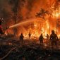 Heroik petugas memadamkan api yang membakar hutan (ilustrasi dibikin ai - rentak.id)