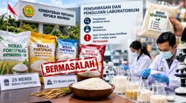 Ilustrasi beras fortifikasi (ilustrasi dibikin ai -rentak.id)