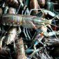 Lobster (foto.istimewa)