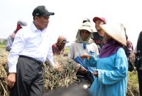 Mentan Andi Amran Sulaiman bersama petani (dok. kementan)