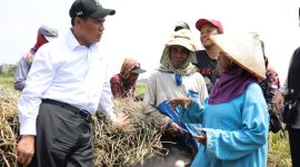 Mentan Andi Amran Sulaiman bersama petani (dok. kementan)