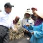 Mentan Andi Amran Sulaiman bersama petani (dok. kementan)