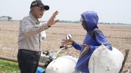 Menteri PU Dody Hanggodo mengecek kondisi kekeringan di lahan pertanian Bekasi (foto. pu)