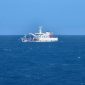 Pencarian dan pertolongan (SAR) korban kecelakaan KMP Virgo Transport 8 di Perairan Laut Jawa (foto. ist)