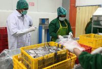 Produk perikanan Indonesia (foto. kkp)