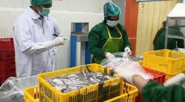 Produk perikanan Indonesia (foto. kkp)