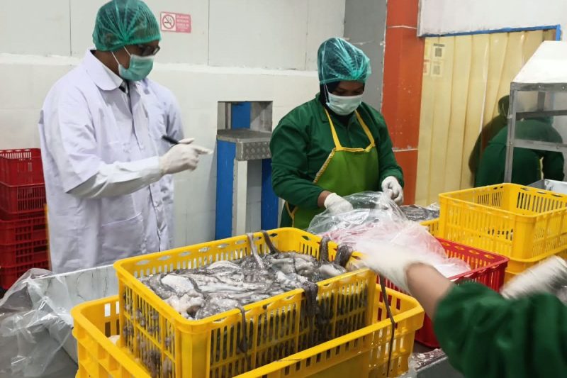 Produk perikanan Indonesia (foto. kkp)