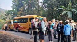 Wisatawan manca negara nikmati bus Damri di Papua (foto. damri)