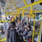 Angkutan Transjakarta (foto.ist)