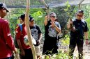 Hasto Kristianto di kawasan Clungup Mangrove Conservation (CMC) Tiga Warna, Malang (foto. ist)