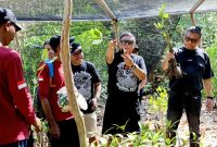 Hasto Kristianto di kawasan Clungup Mangrove Conservation (CMC) Tiga Warna, Malang (foto. ist)