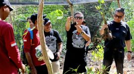 Hasto Kristianto di kawasan Clungup Mangrove Conservation (CMC) Tiga Warna, Malang (foto. ist)