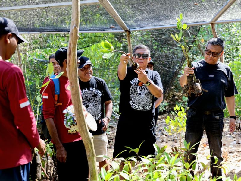 Hasto Kristianto di kawasan Clungup Mangrove Conservation (CMC) Tiga Warna, Malang (foto. ist)